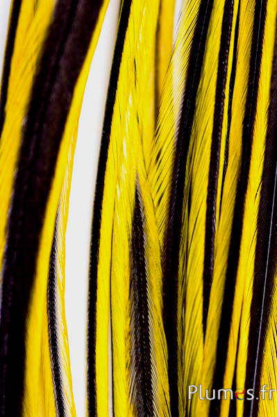 Coq rooster fil doré - 25-30 cm - jaune